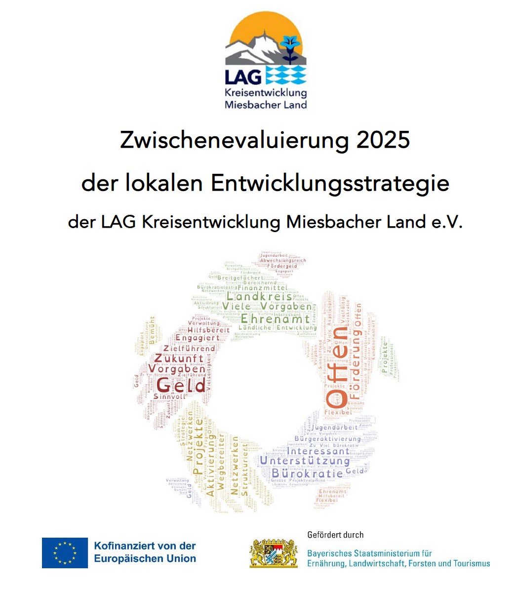 LES Zwischenevaluierung 2025 Titelblatt